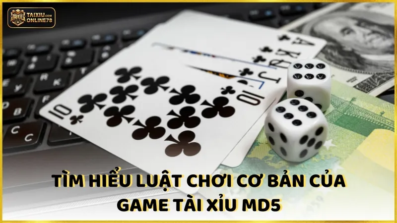 Tìm hiểu luật chơi cơ bản của game tài xỉu MD5